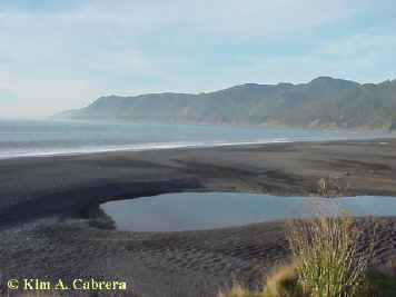Black Sands Beach - December 28, 2000.
                        Photo by Kim A. Cabrera.