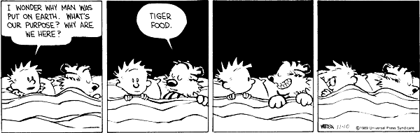 Calvin and Hobbes comic copyright by United
                        Press Syndicate.