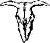 skulltrans.gif (1858 bytes)